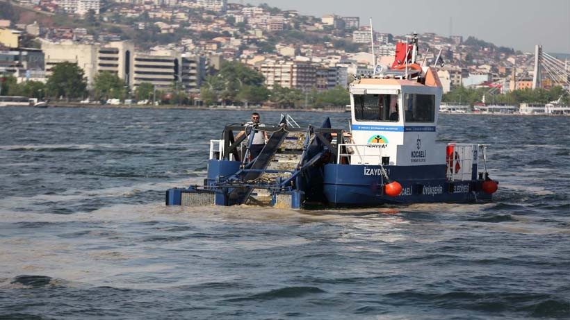 50 günde 150 ton deniz salyası toplandı