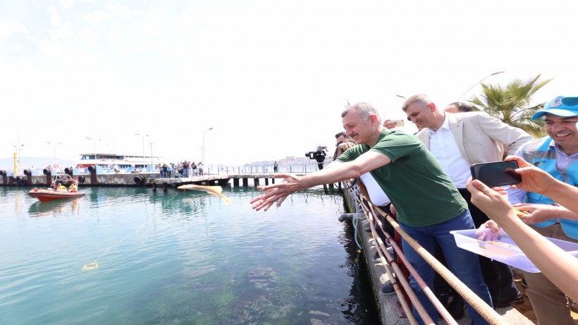 6 bin yavru balık İzmit Körfezi’ne salındı