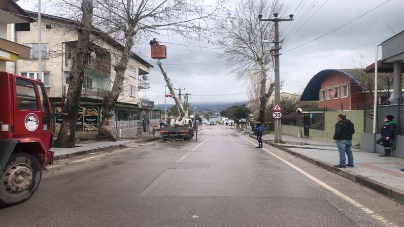 Budanan ağaç dalları gübreye dönüşüyor