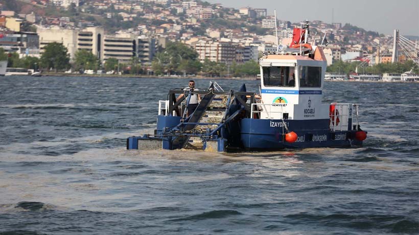 Deniz Salyası için ortak eylem planı yolda