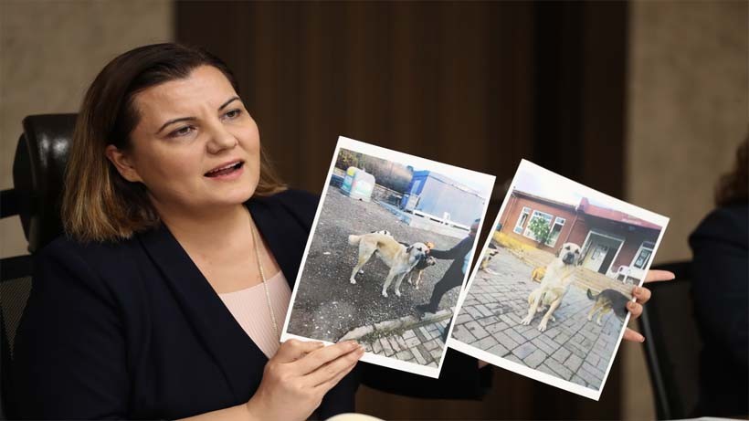 Hürriyet: Gerçek hayvanseverlere saygımız sonsuz. Siyasi linç peşinde olanlara asla