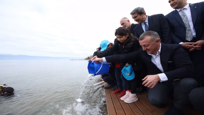 Karamürsel’den Körfez’e 6 bin balık salındı