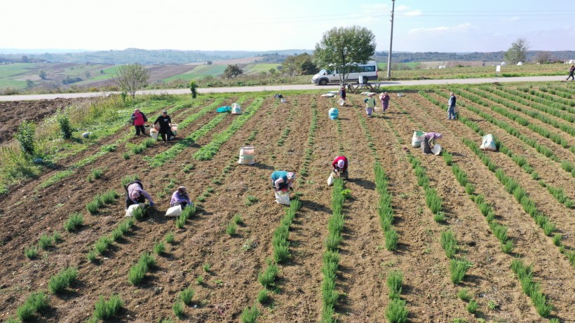 Sekapark A.Ş. organik tarıma geçiş sürecini başlattı